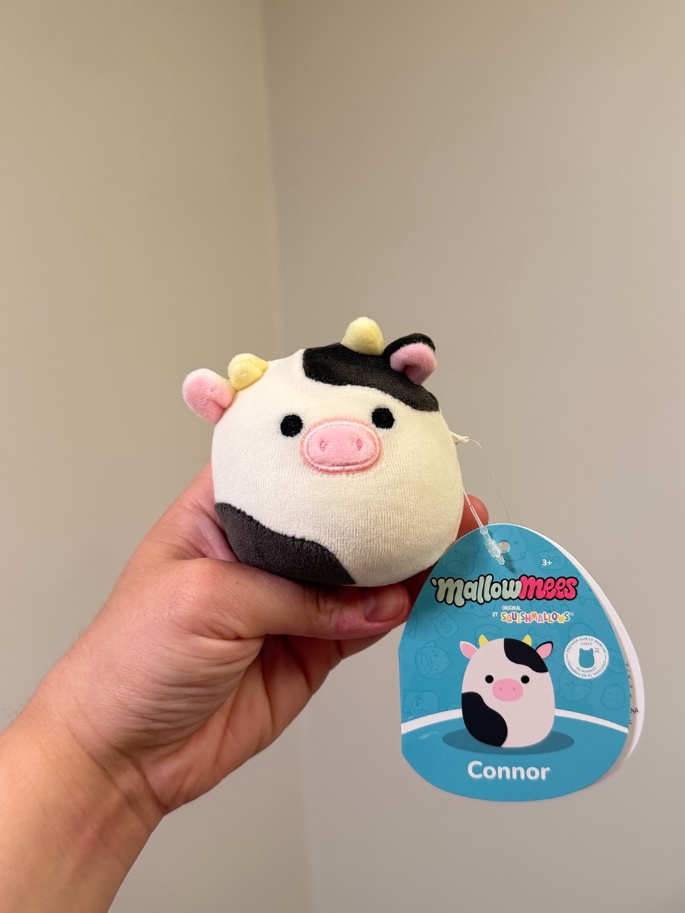 Squishmallows MallowMees (1 PC) - Connor